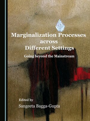 cover image of Marginalization Processes across Different Settings